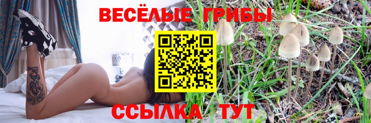 Псилоцибиновые грибы GOLDEN TEACHER  Галлюциногенные грибы Psilocybe  Советская Гавань  Вход с VPN 